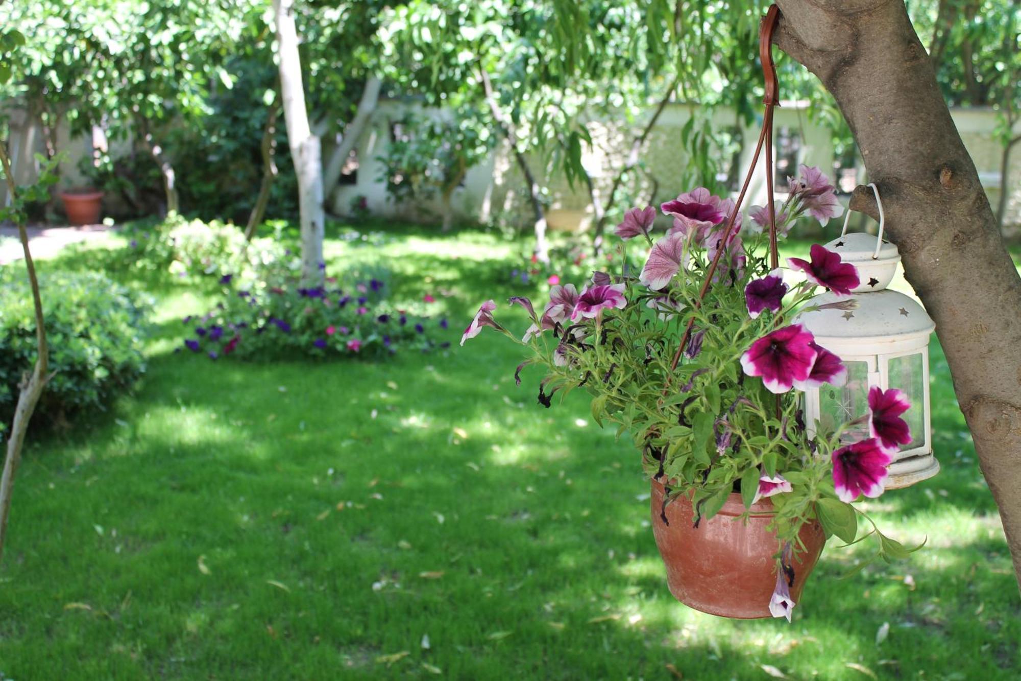 Bella Garden 4*