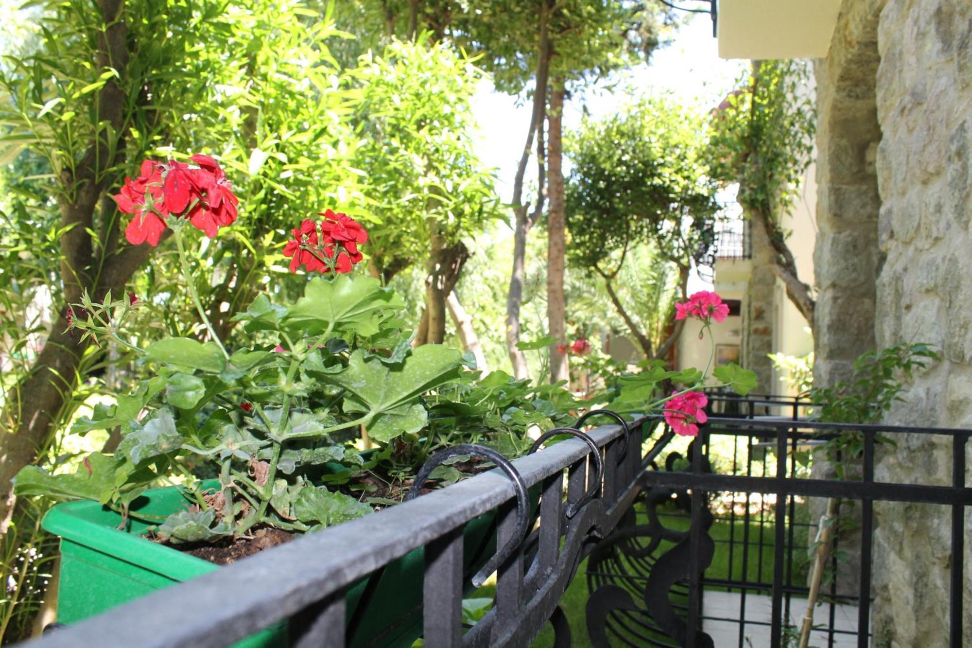 Bella Garden