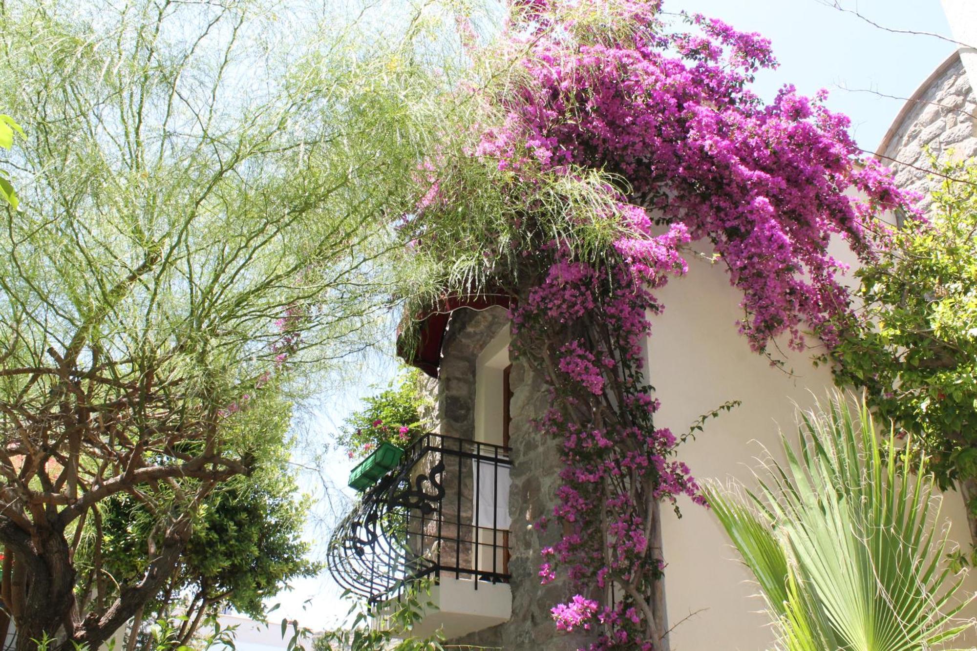 Otel Bella Garden